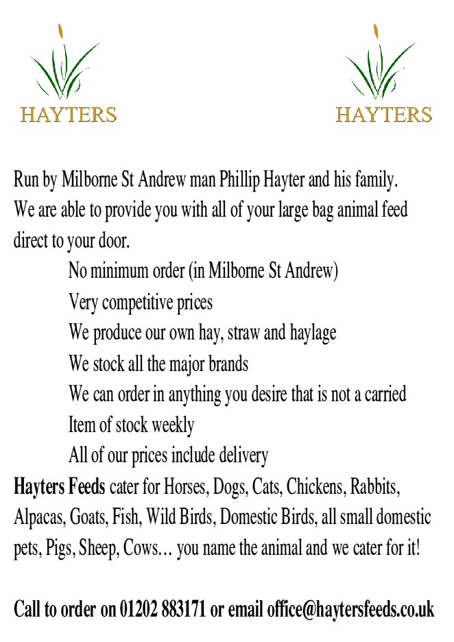 Hayters - 53Kb
